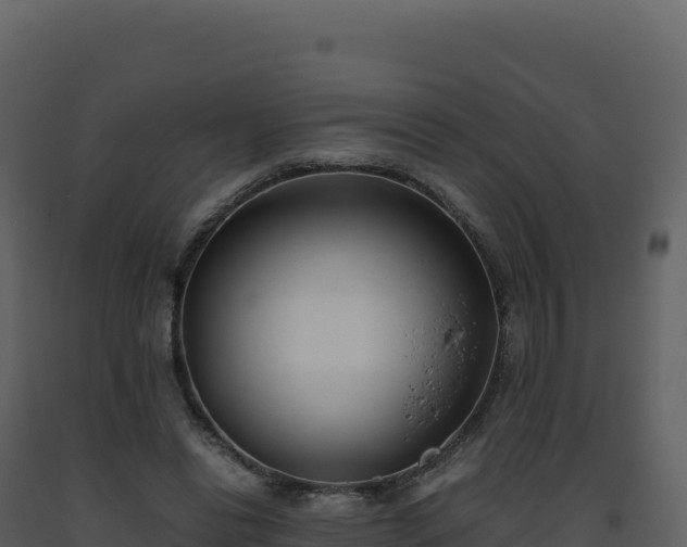 X0000093490446200710191230