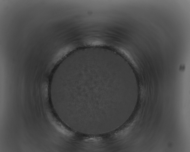 X0000093490447200710191230