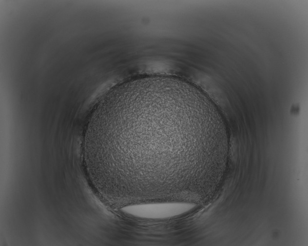 X0000093490449200710191230