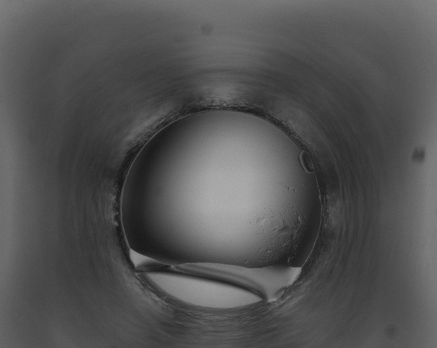 X0000093490450200710191230