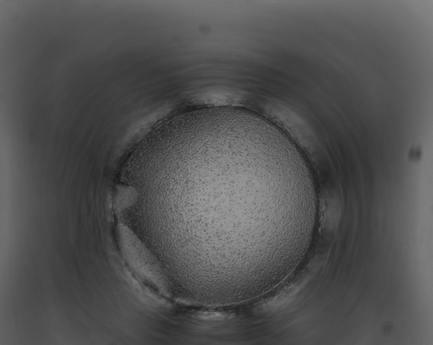 X0000093490453200710191230