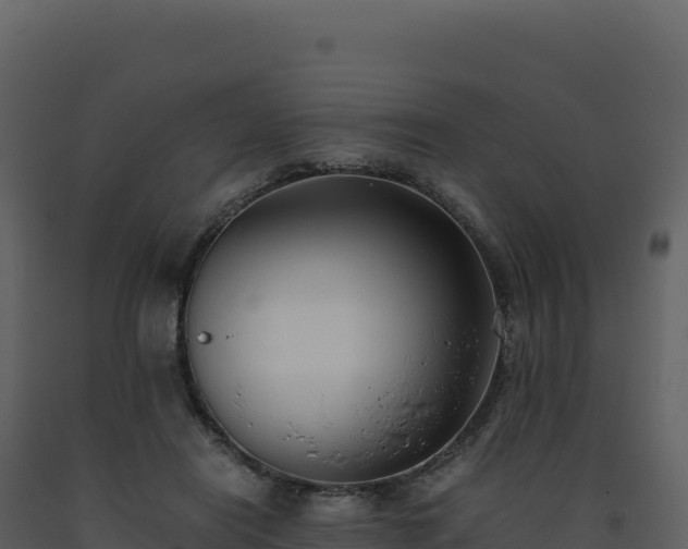 X0000093490454200710191230