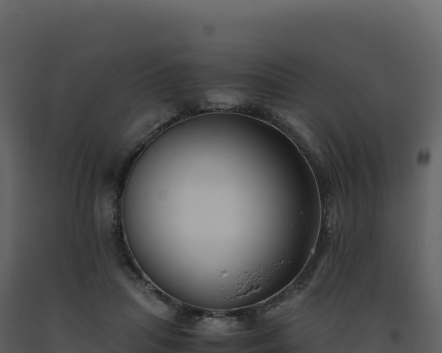 X0000093490455200710191230