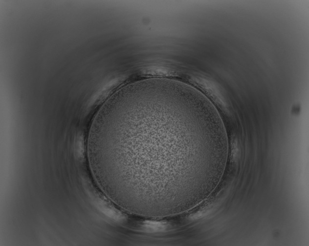 X0000093490457200710191230