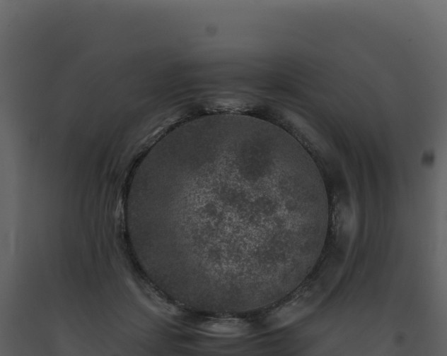 X0000093490459200710191230