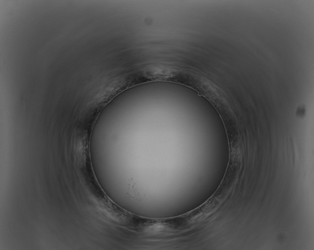 X0000093490460200710191230