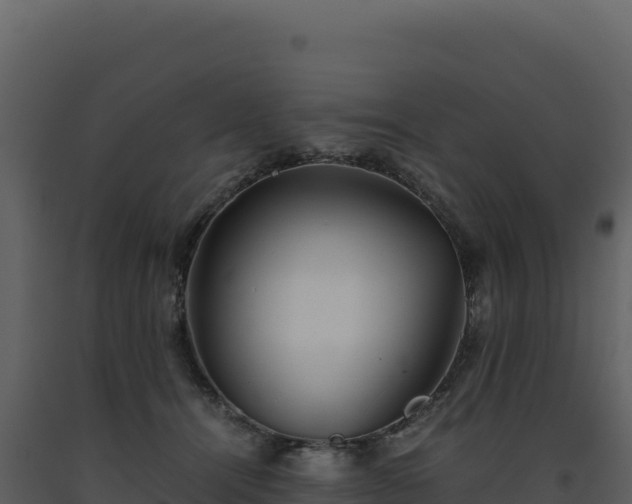 X0000093490464200710191231