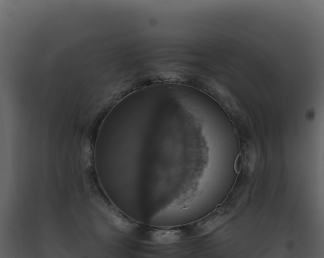 X0000093490465200710191231