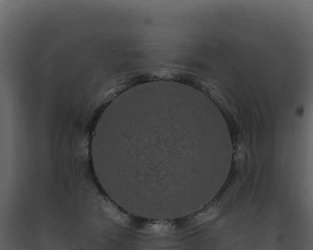 X0000093490466200710191231