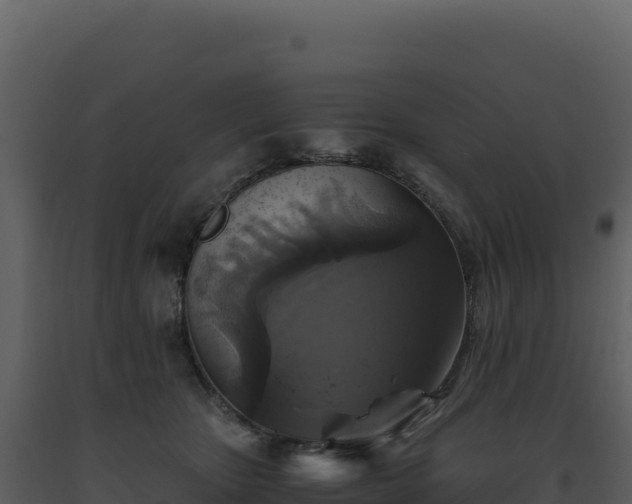 X0000093490467200710191231