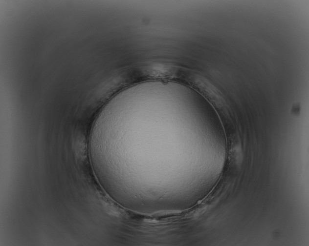 X0000093490469200710191231