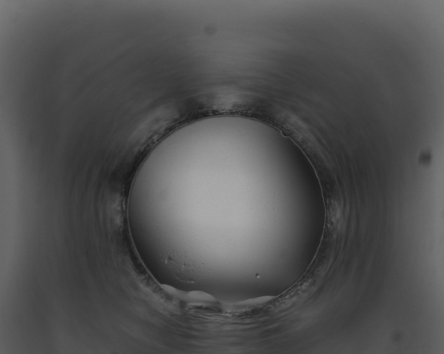 X0000093490470200710191231