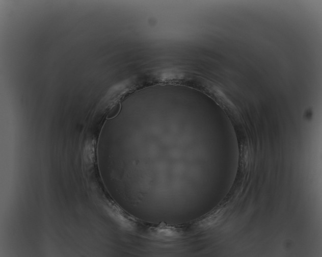 X0000093490475200710191231