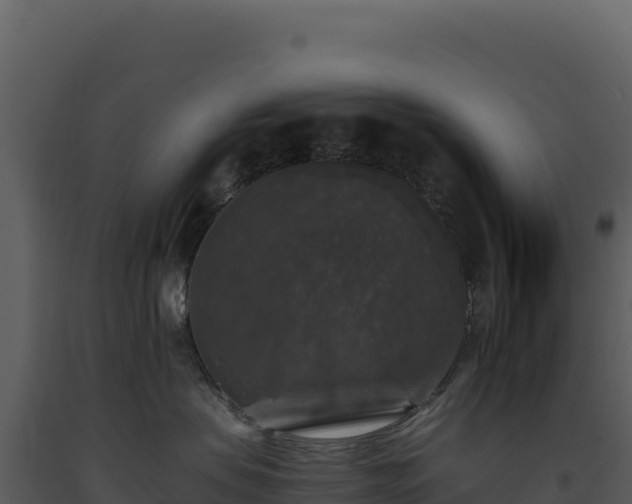 X0000093490479200710191231