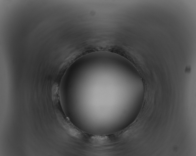 X0000093490480200710191231