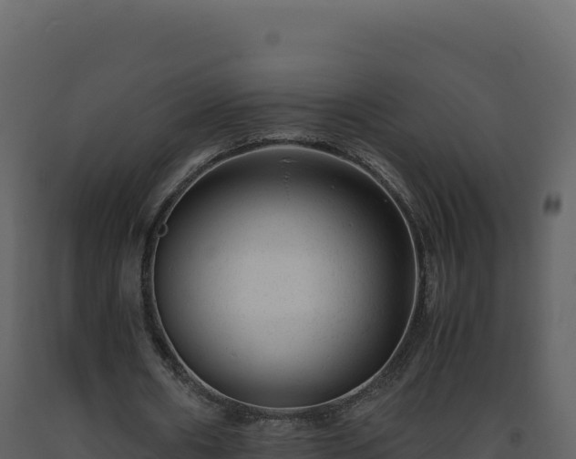 X0000093490482200710191230