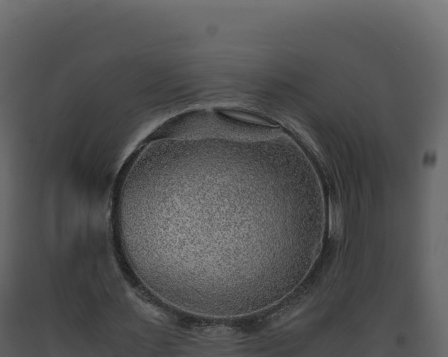 X0000093490483200710191230