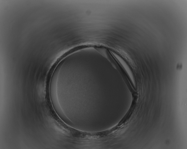 X0000093490484200710191230