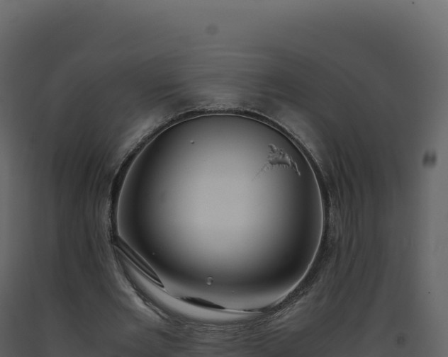 X0000093490485200710191230