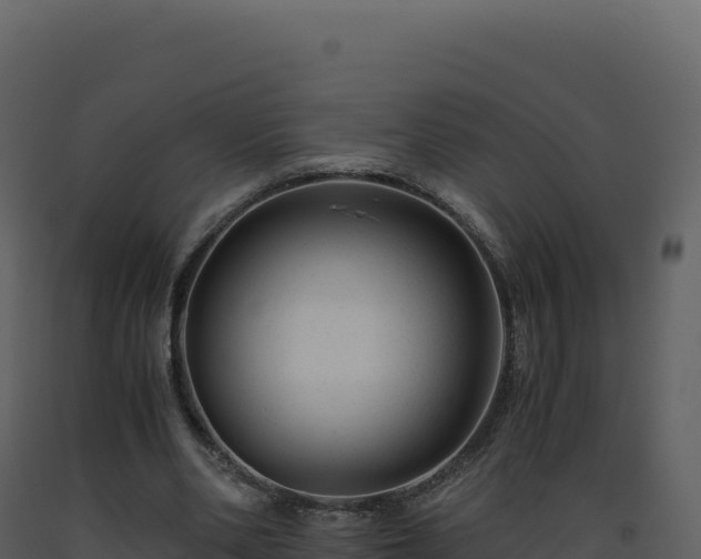 X0000093490486200710191230