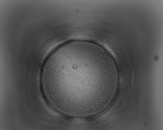 X0000093490487200710191230