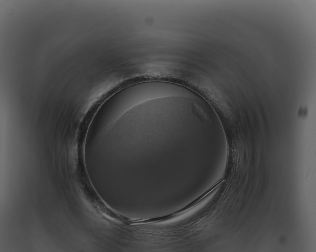 X0000093490488200710191230