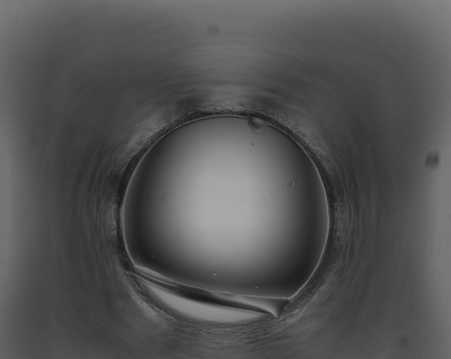 X0000093490489200710191230