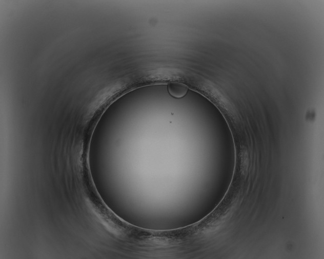 X0000093490490200710191230