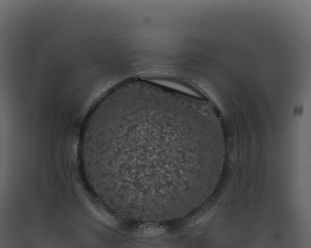 X0000093490491200710191230