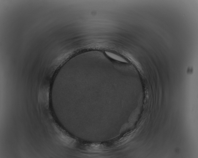 X0000093490493200710191230