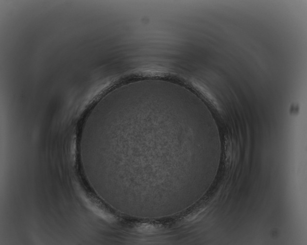 X0000093490494200710191230