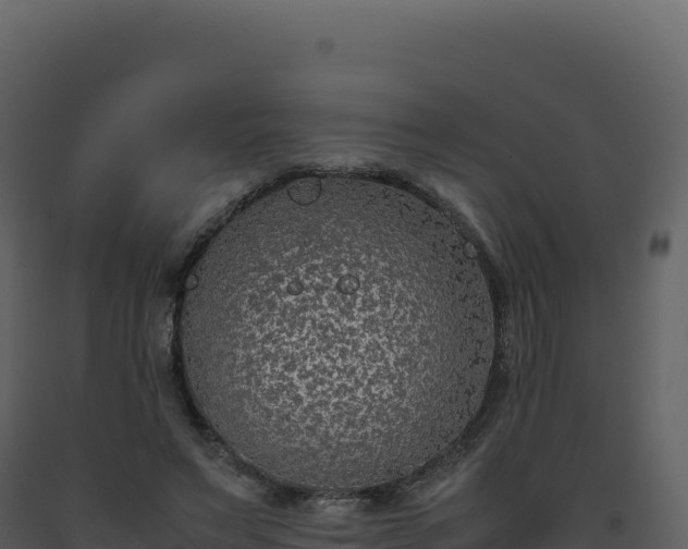 X0000093490495200710191230