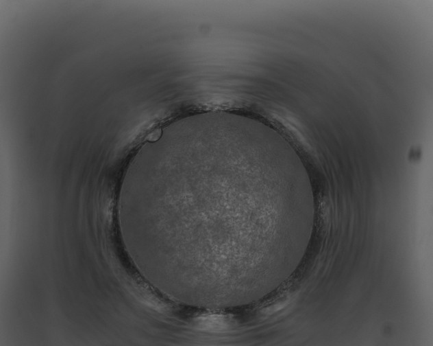 X0000093490499200710191230