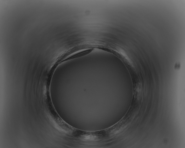 X0000093490500200710191230