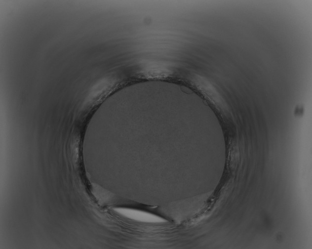 X0000093490501200710191230