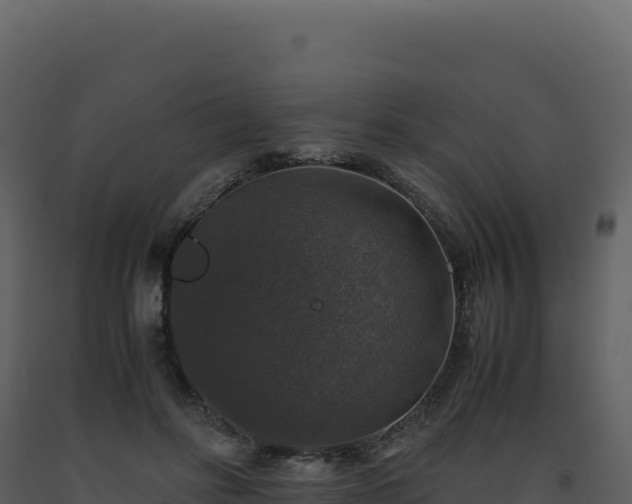 X0000093490502200710191230