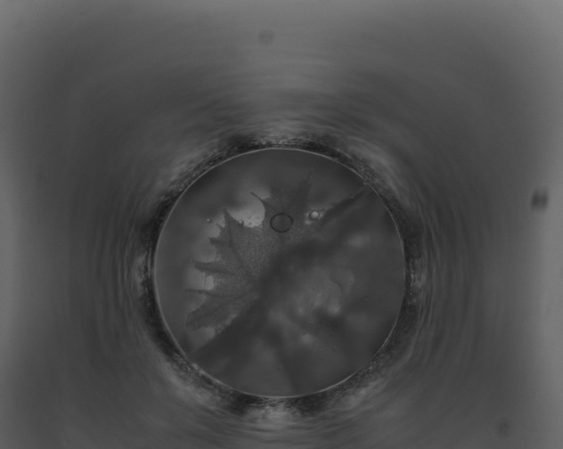 X0000093490503200710191230