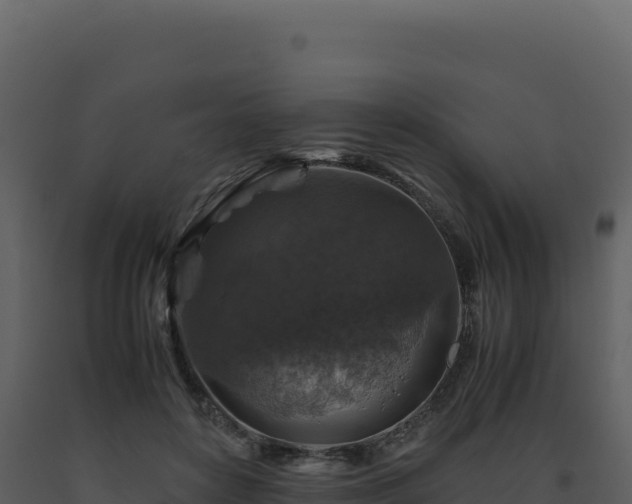 X0000093490504200710191230