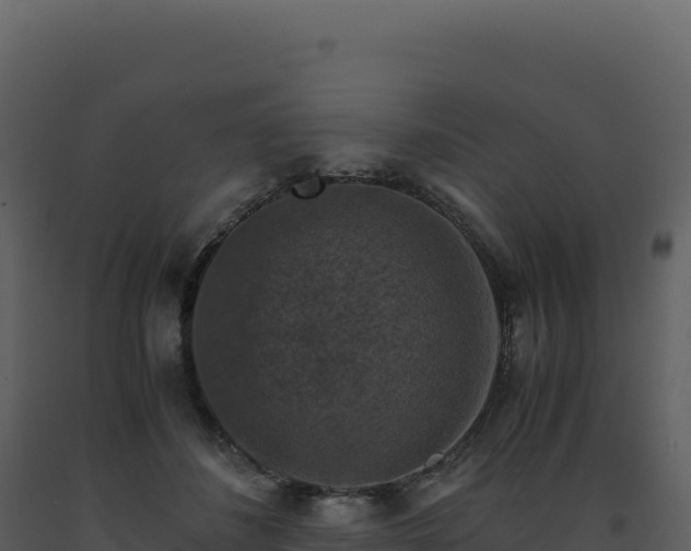 X0000093490508200710191230