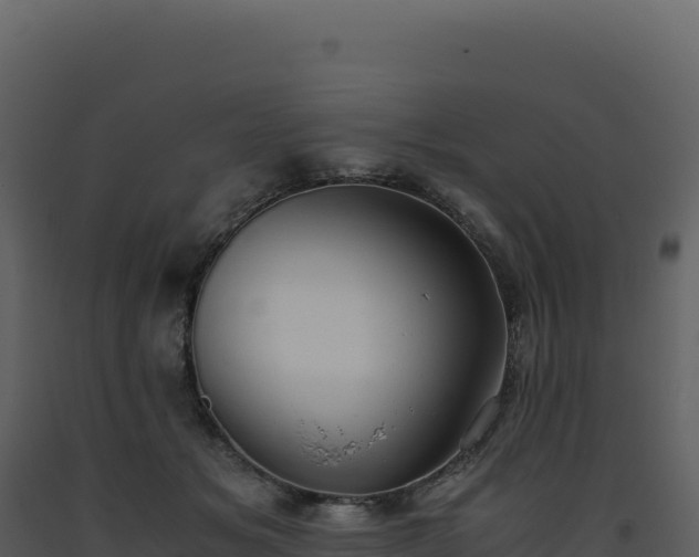 X0000093490509200710191230