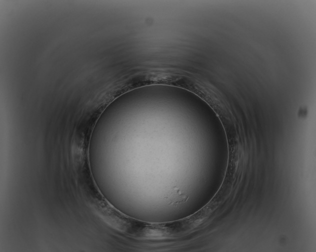 X0000093490510200710191230