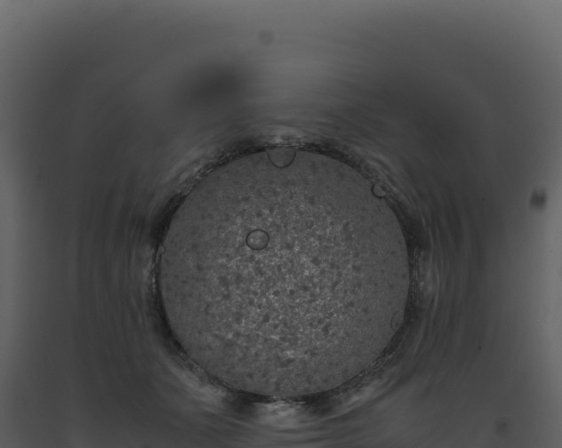 X0000093490511200710191230