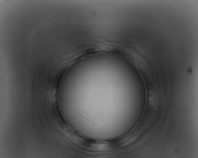 X0000093490514200710191230