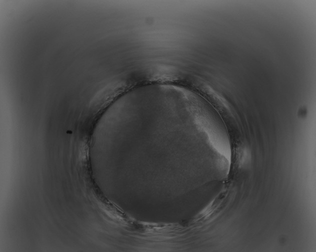 X0000093490517200710191230