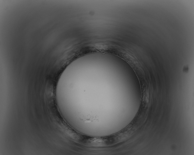 X0000093490518200710191230