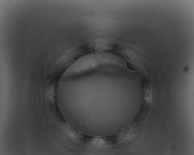 X0000093490519200710191230