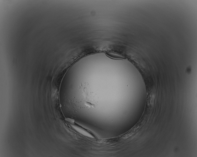 X0000093490521200710191230