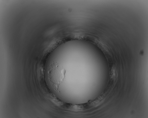 X0000093490522200710191230