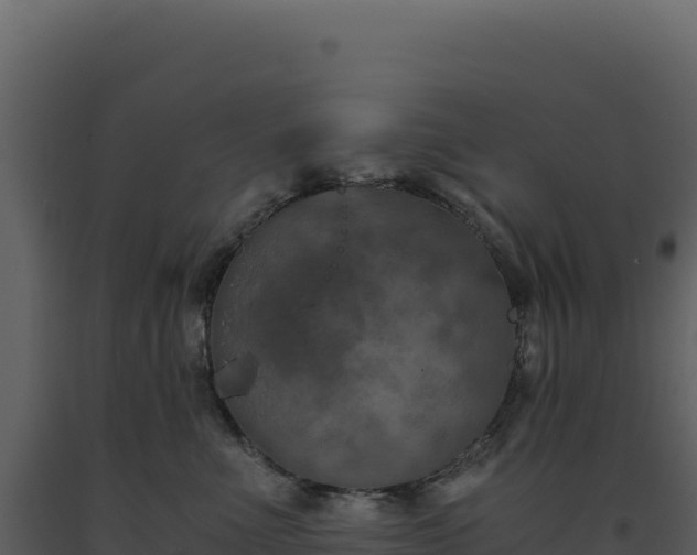 X0000093490523200710191230