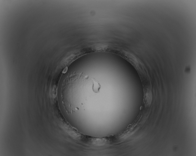 X0000093490525200710191230